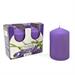 CONFEZIONE 2 MOCCOLI PROFUMATI ETEREA 5X9 LAVANDA