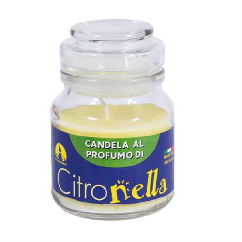 GIARA VETRO CITRONELLA 7X10